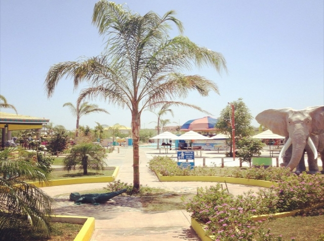 Parque familiar